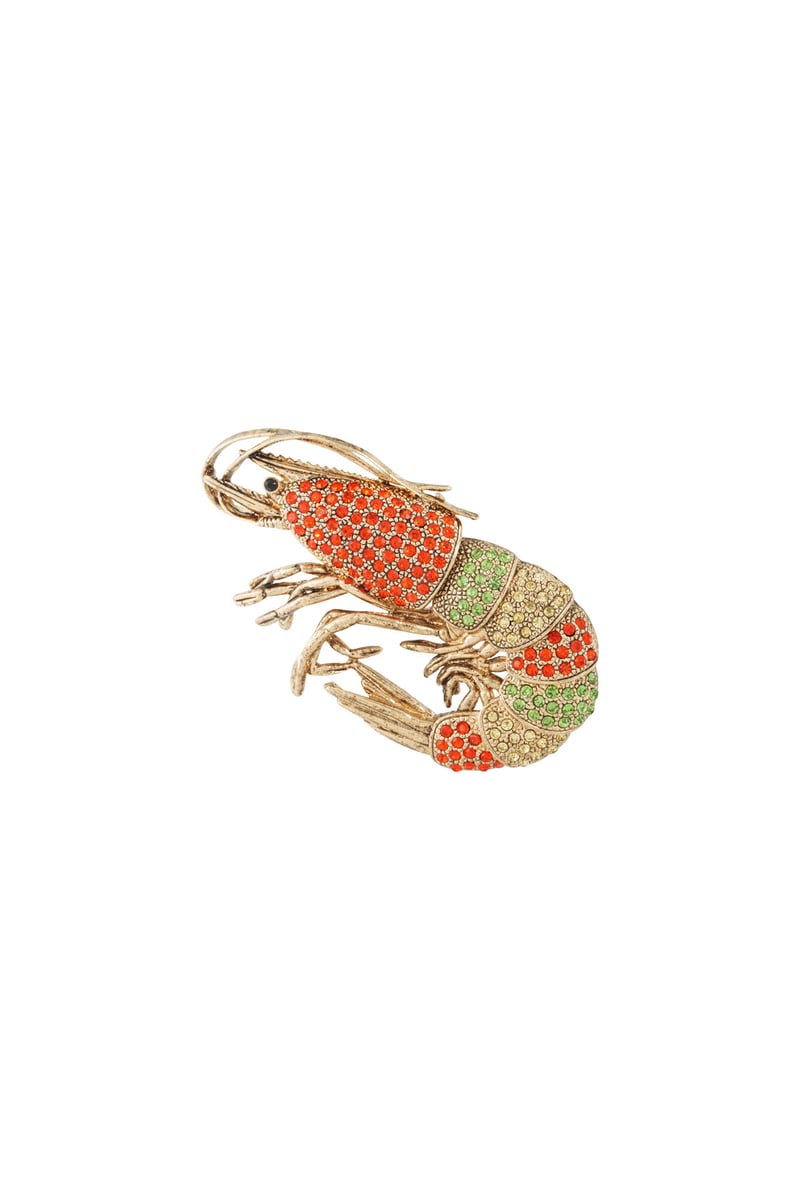 Shrimp Brooch - Multi