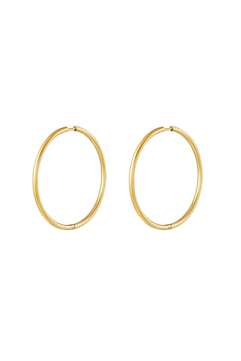 stainless steel earrings hoops medium 