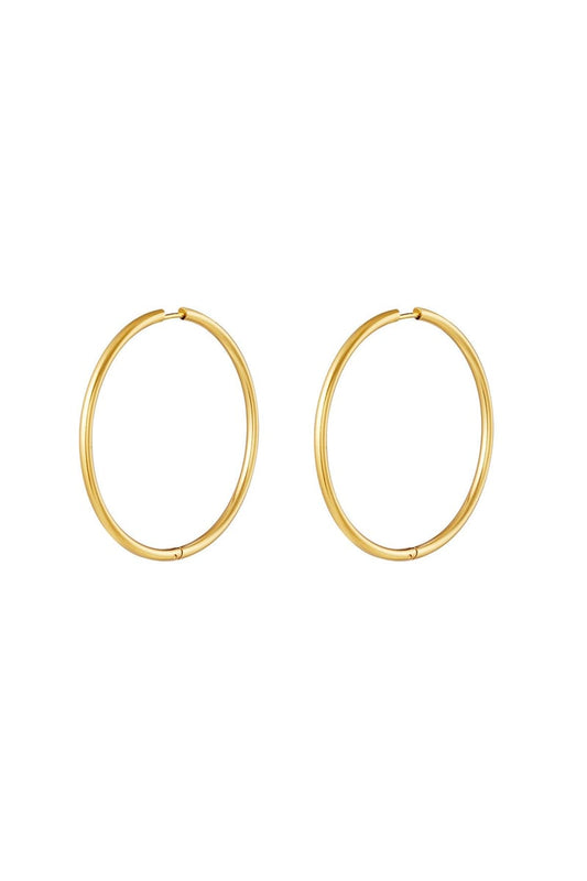 stainless steel earrings hoops medium 
