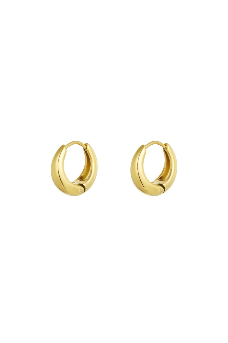 small basic hoop earrings
