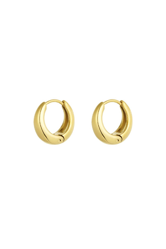 medium basic hoop earrings