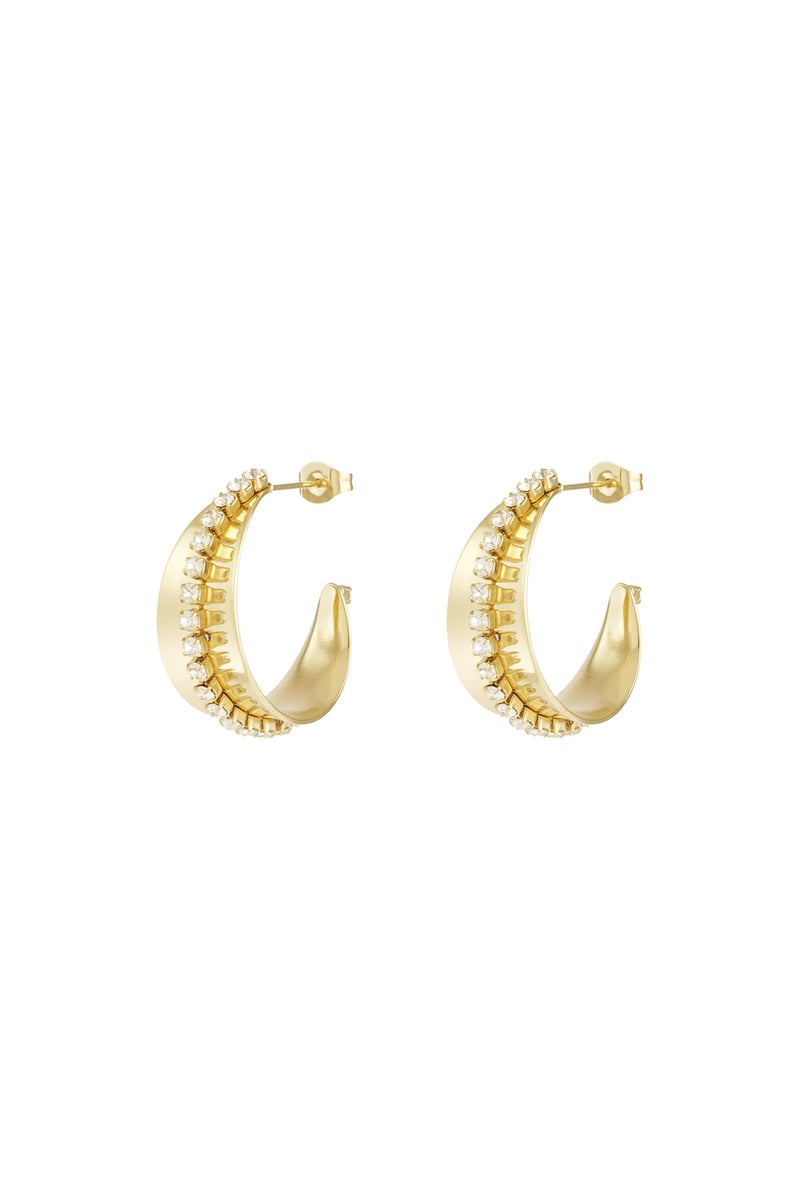 sparkle & shine hoops earrings