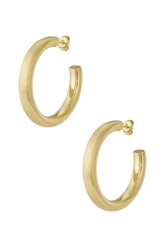   Hoop Earrings irregular shape Casual Daily Simple Series Women's jewelry