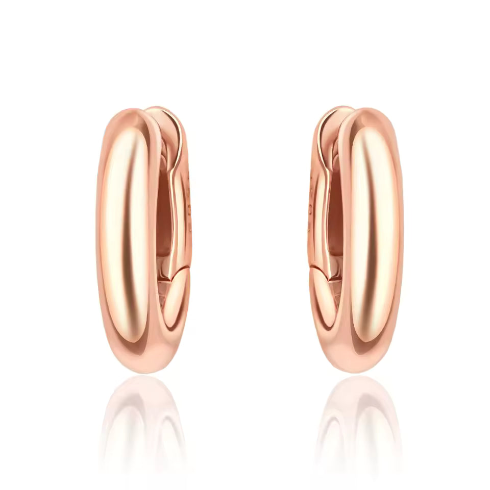 Sterling Silver Zircon Stud Earrings